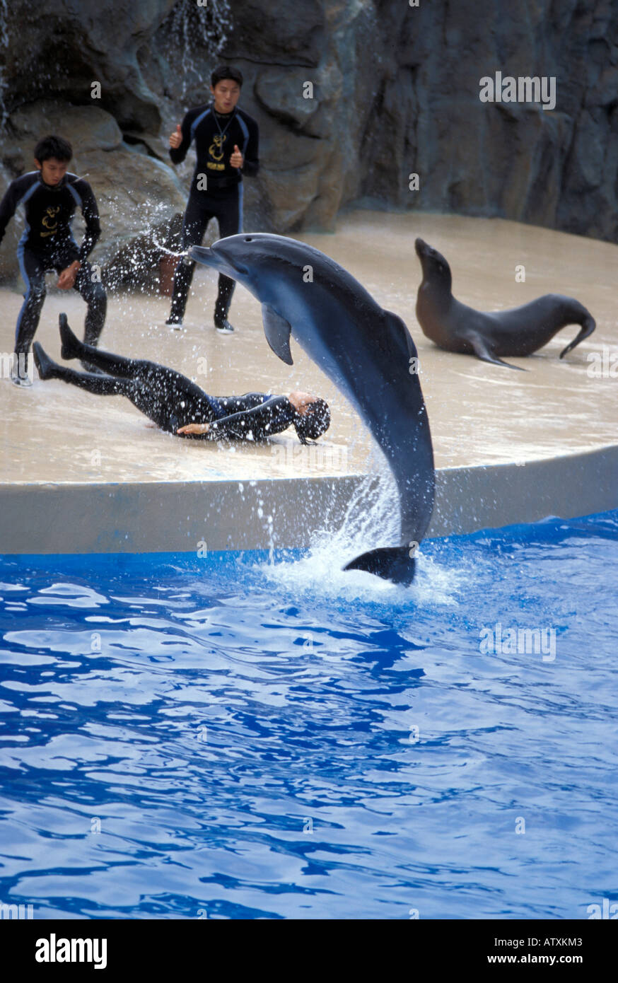 Ocean Park Hong Kong China Asia Stock Photo - Alamy