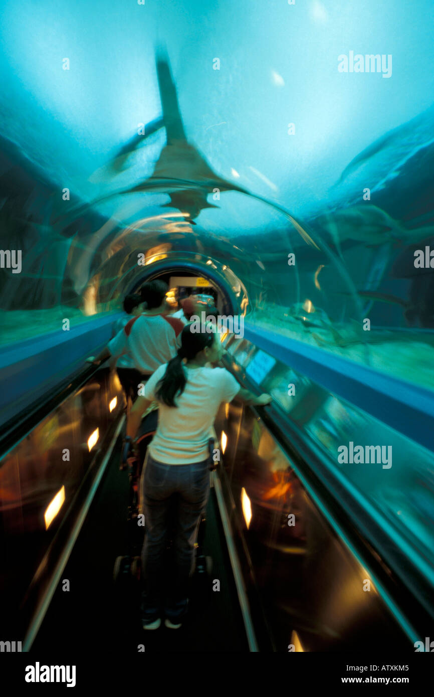 Ocean Park Hong Kong China Asia Stock Photo - Alamy