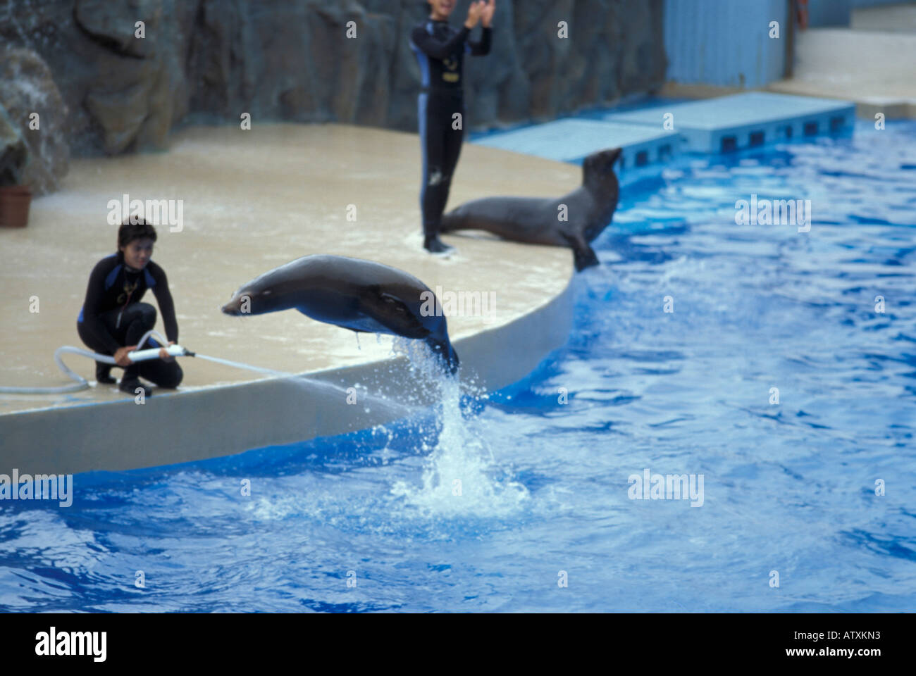 Ocean Park Hong Kong China Asia Stock Photo - Alamy
