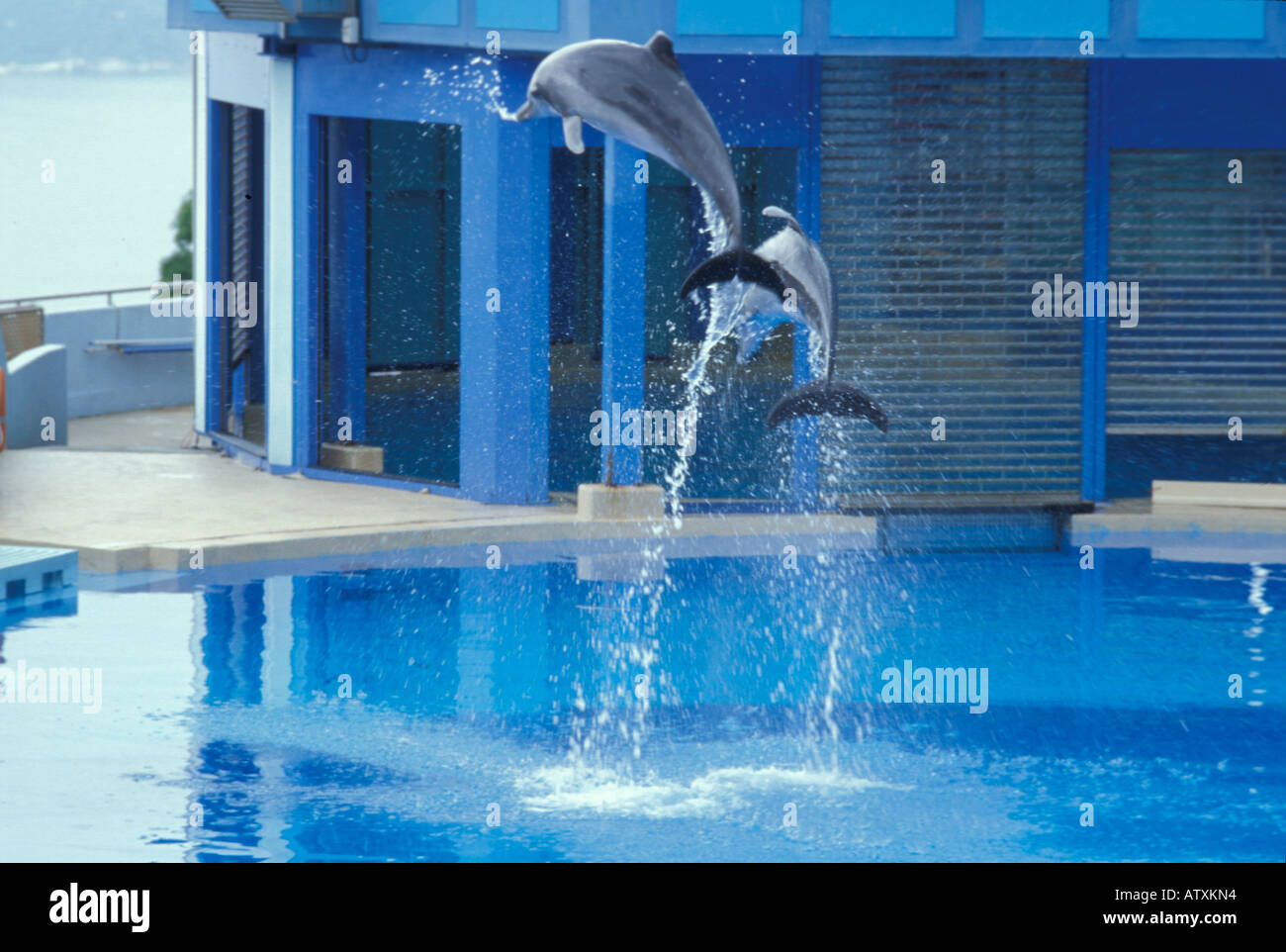 Ocean Park Hong Kong China Asia Stock Photo - Alamy