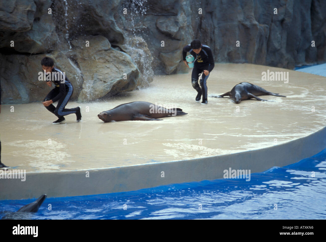 Ocean Park Hong Kong China Asia Stock Photo - Alamy