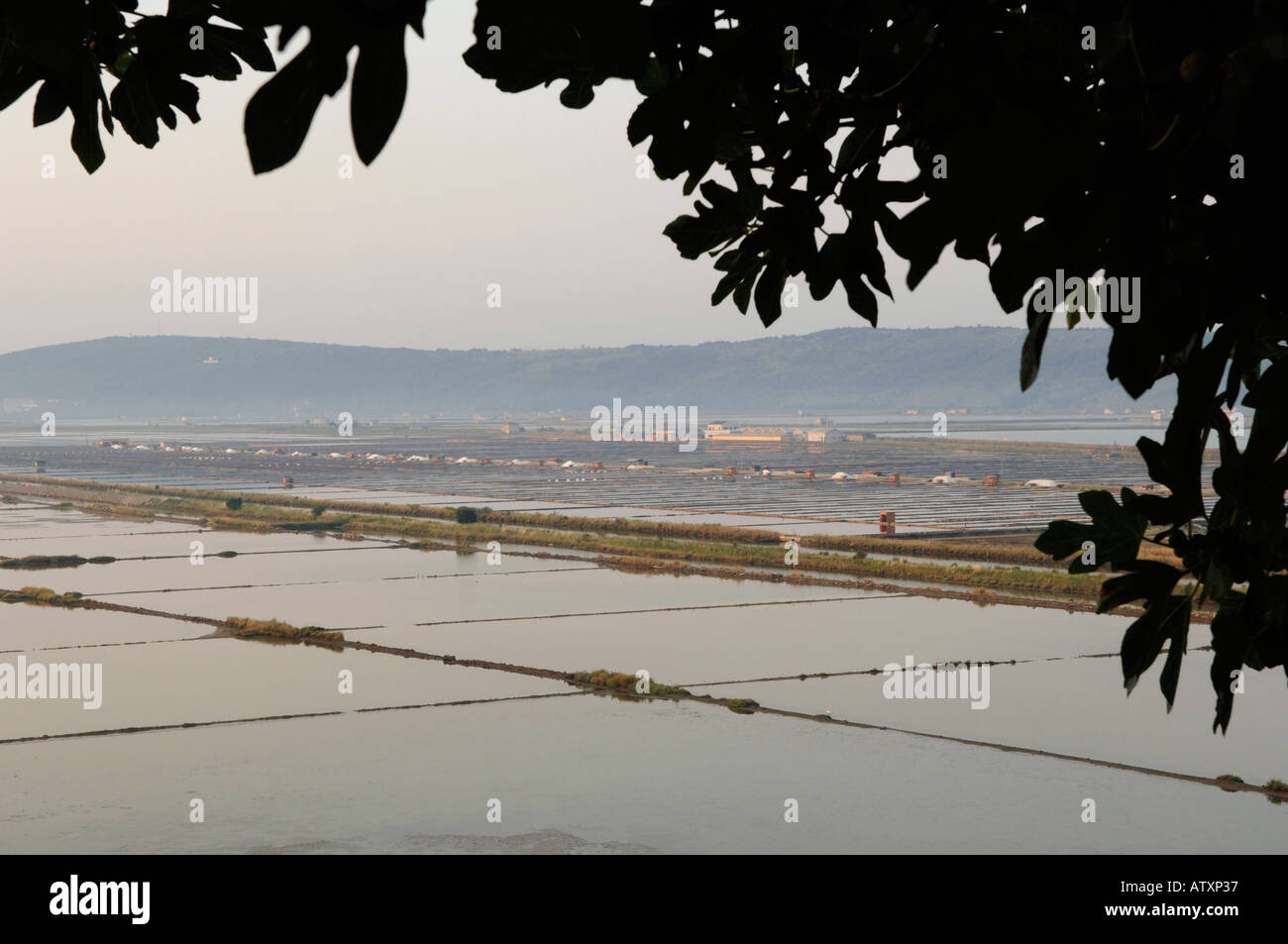 Secovlje, salines Stock Photo