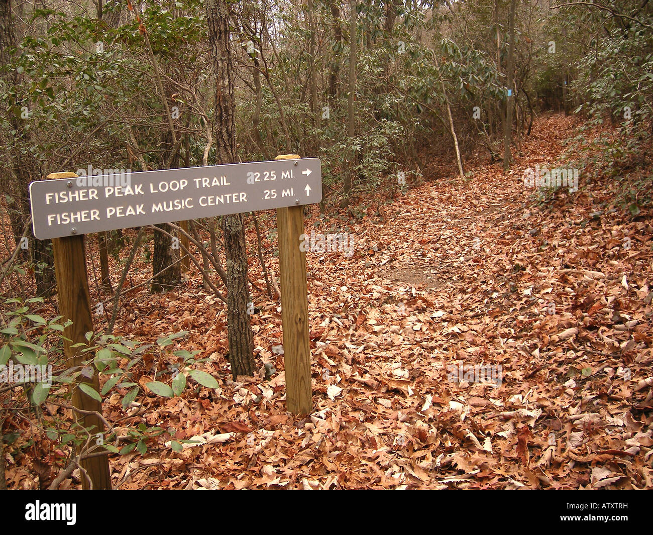 AJD59753, Fisher Peak Loop Trail, Blue Ridge Parkway, Galax, Virginia