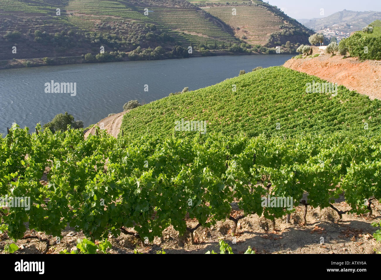 Douro River Valley Portugal Stock Photo Alamy