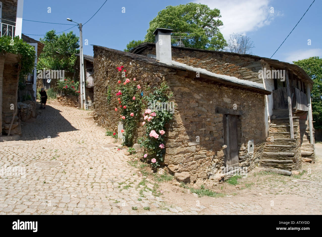 Onor hi-res stock photography and images - Alamy