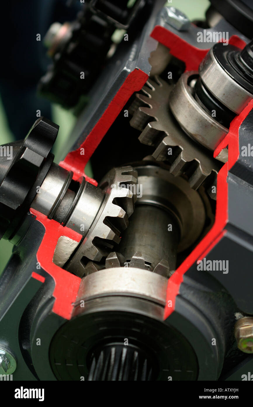 Spur and bevel gears on shaft with ball bearings, machine cutaway Stock
