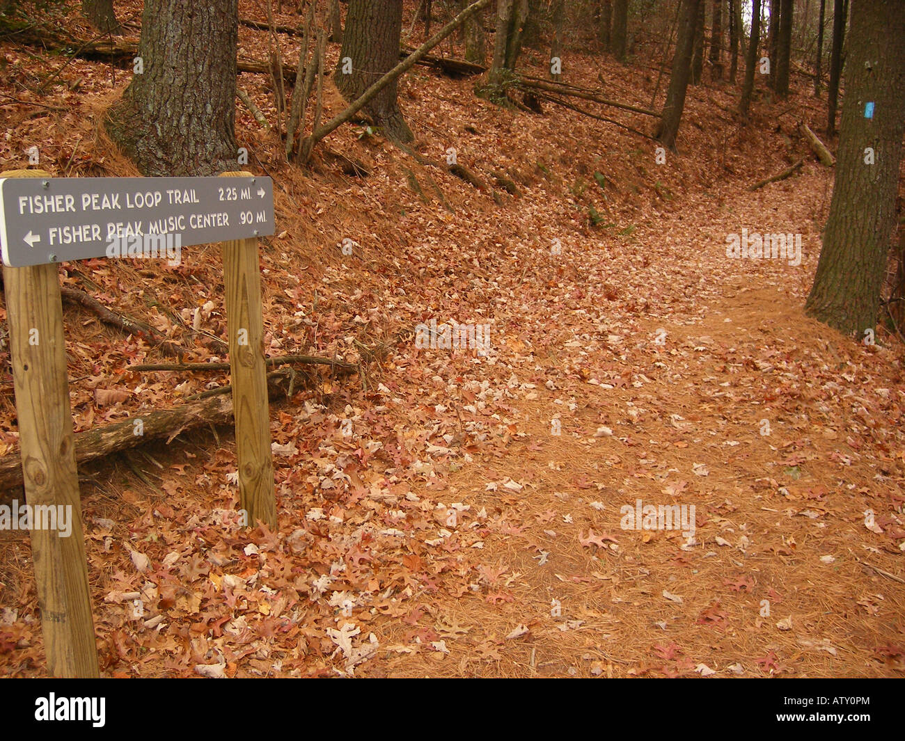AJD59760, Fisher Peak Loop Trail, Blue Ridge Parkway, Galax, Virginia
