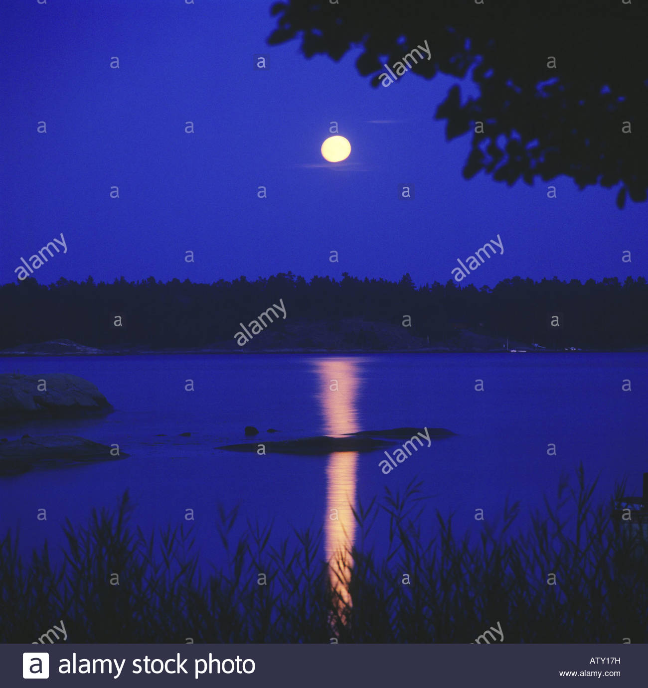 Full Moon At Night Over River Stock Photo Alamy