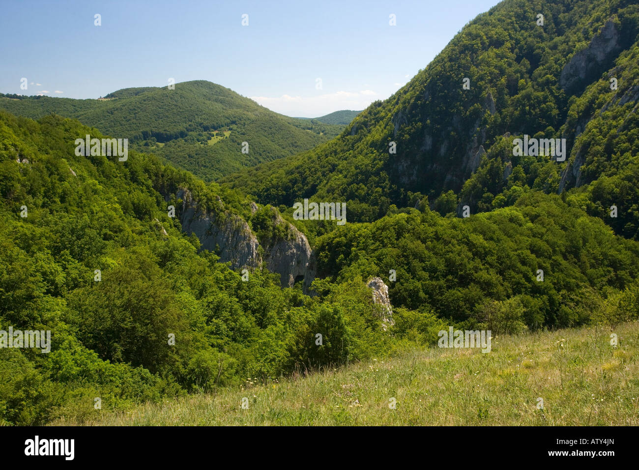 Limestone Varghis gorge in central Romania north of Brasov Stock Photo
