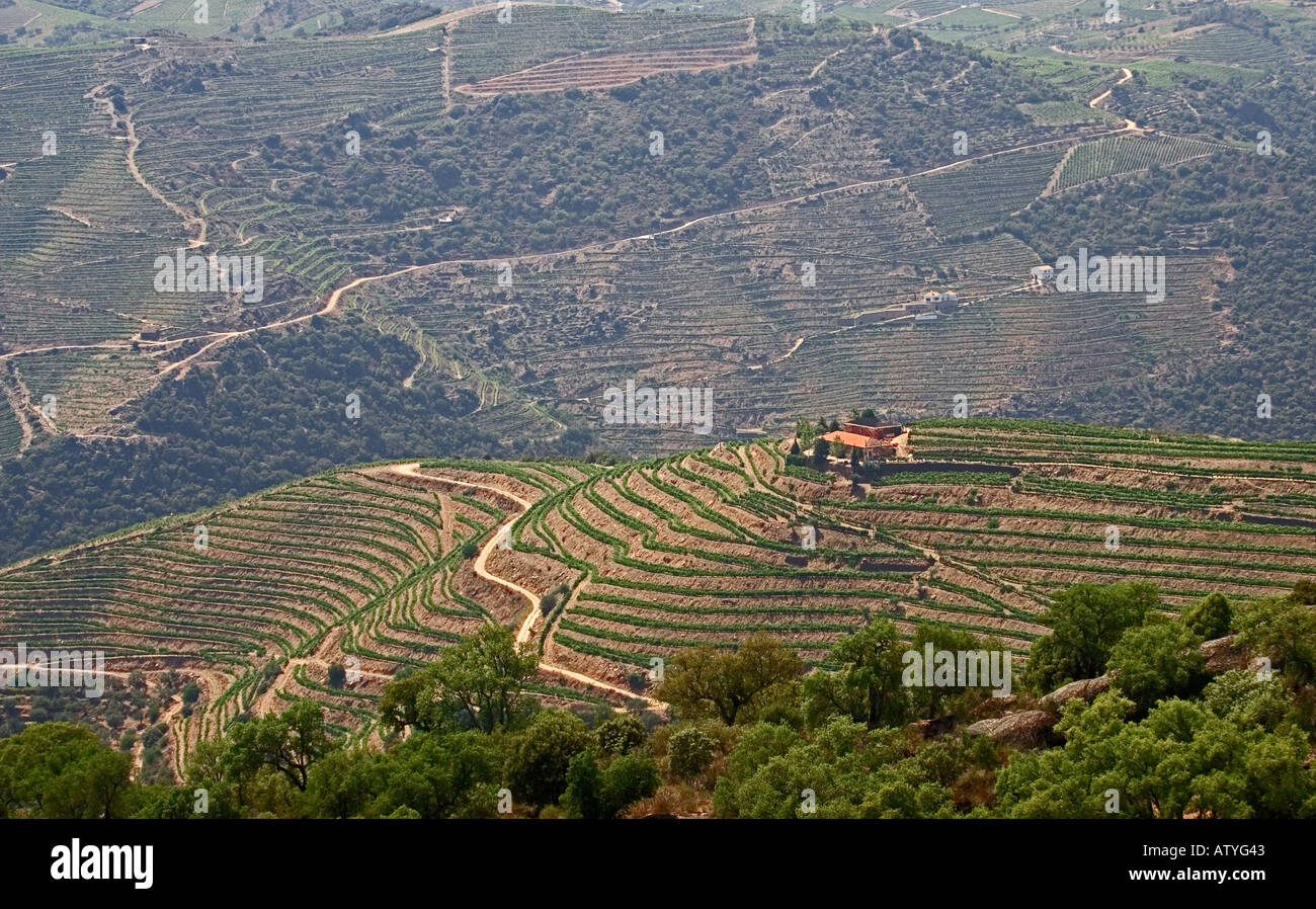 Douro Valley Portugal Stock Photo - Alamy