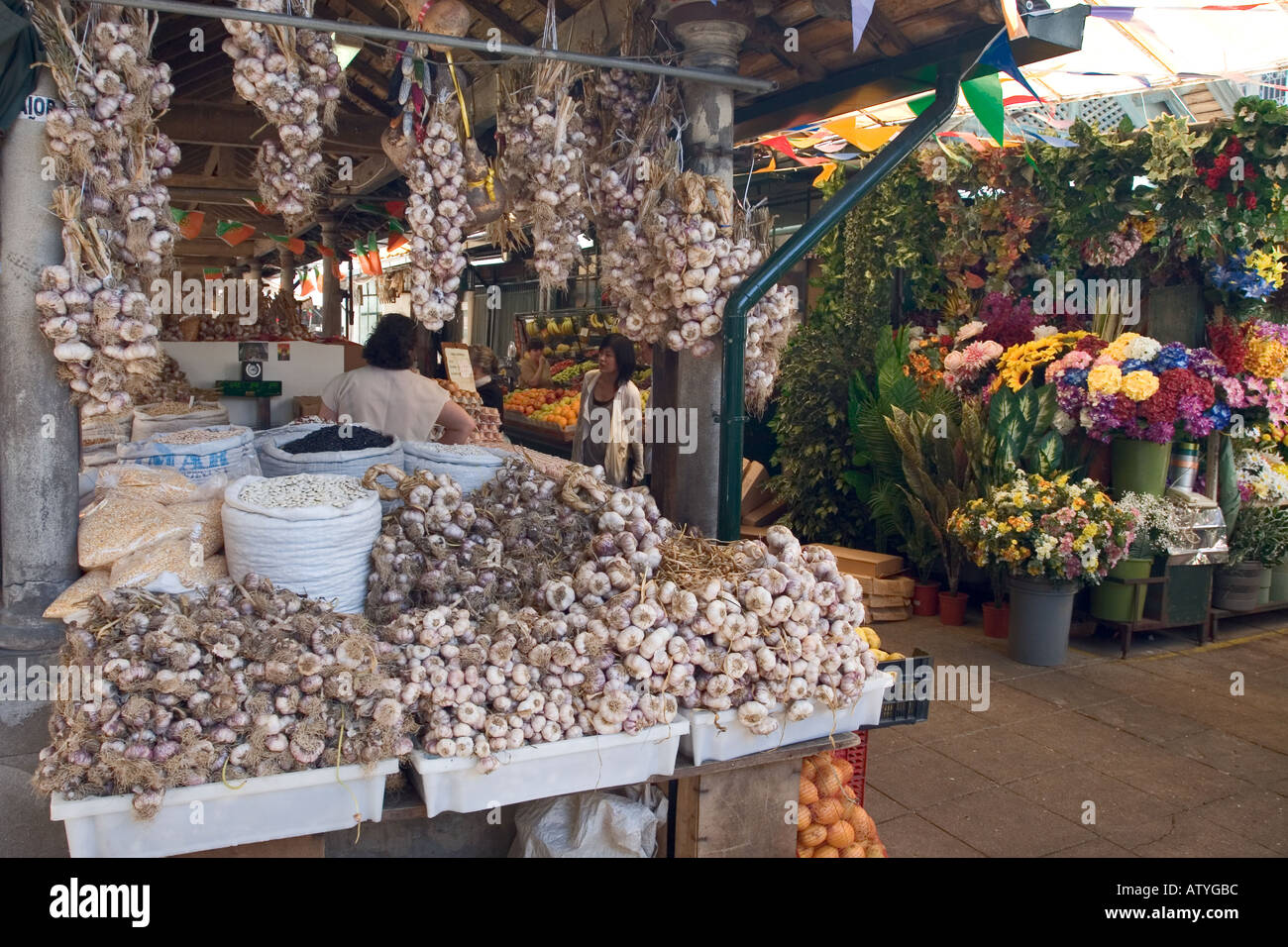 Fresh Garlic Mercado do Bolhão Municipal Market Porto Portugal Stock Photo