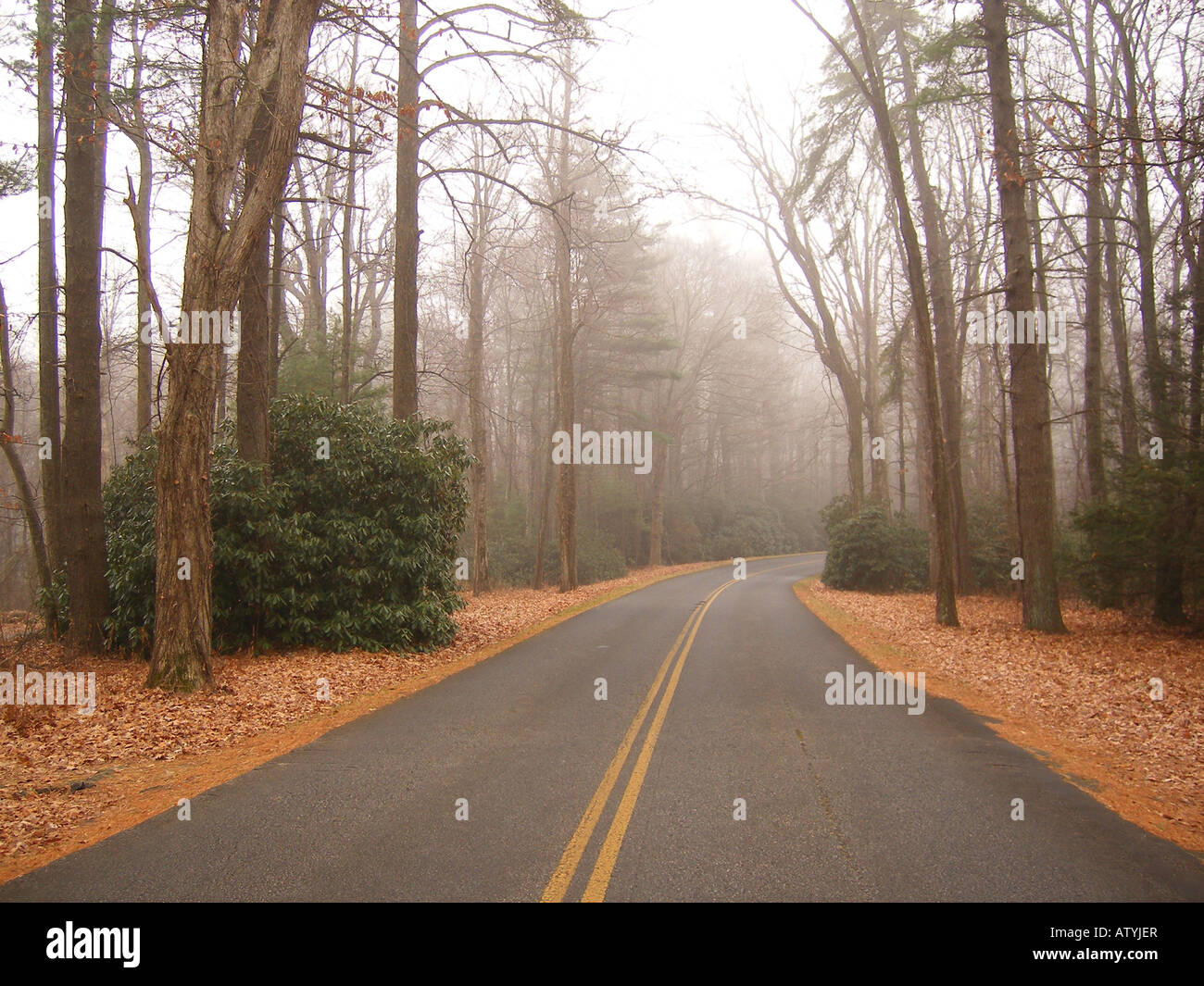 AJD59799, Blue Ridge Parkway, fog, Galax, Virginia, VA Stock Photo - Alamy