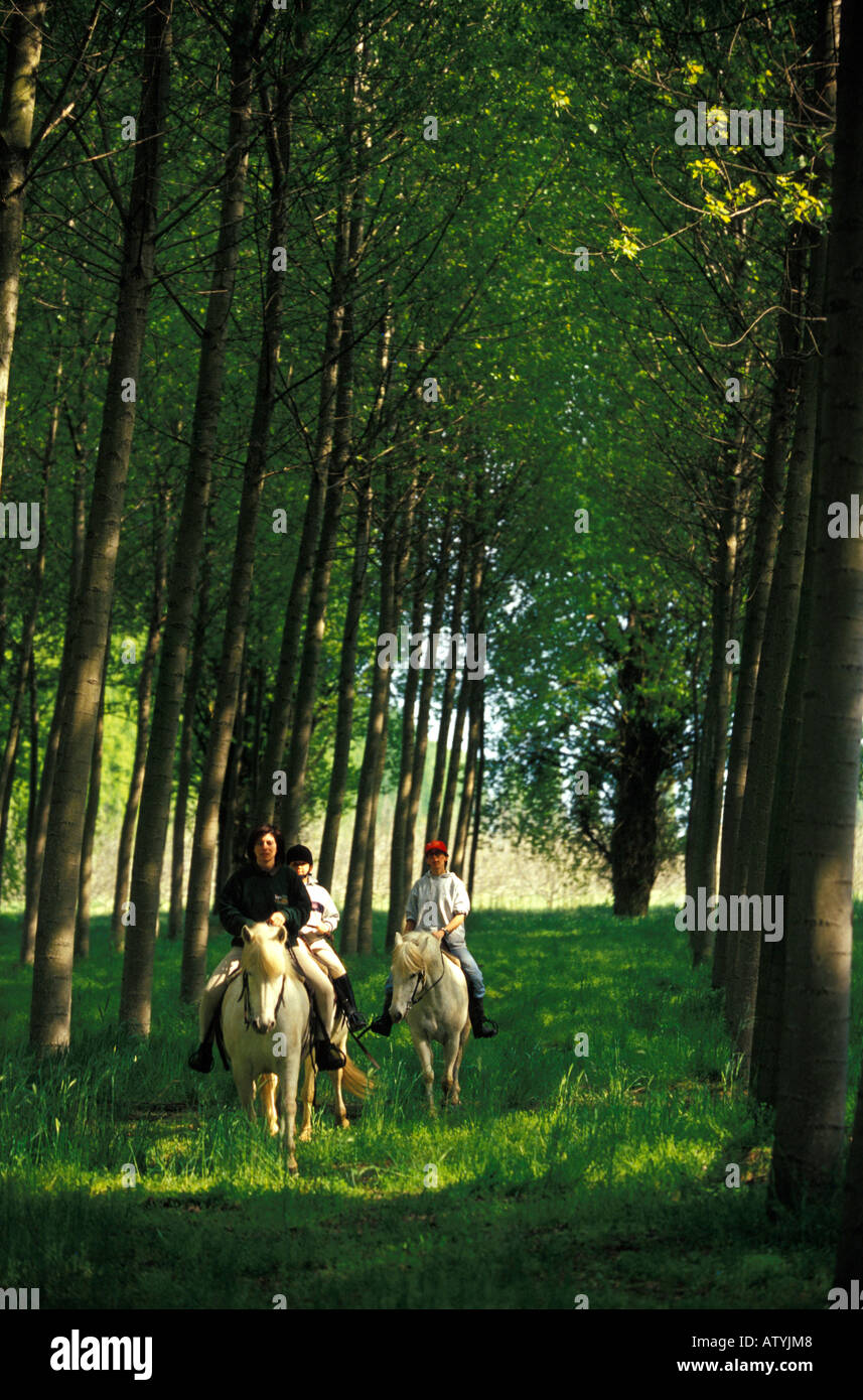 Horseback riding Le Prandine farm Mirabello Emilia Romagna Italy Stock Photo