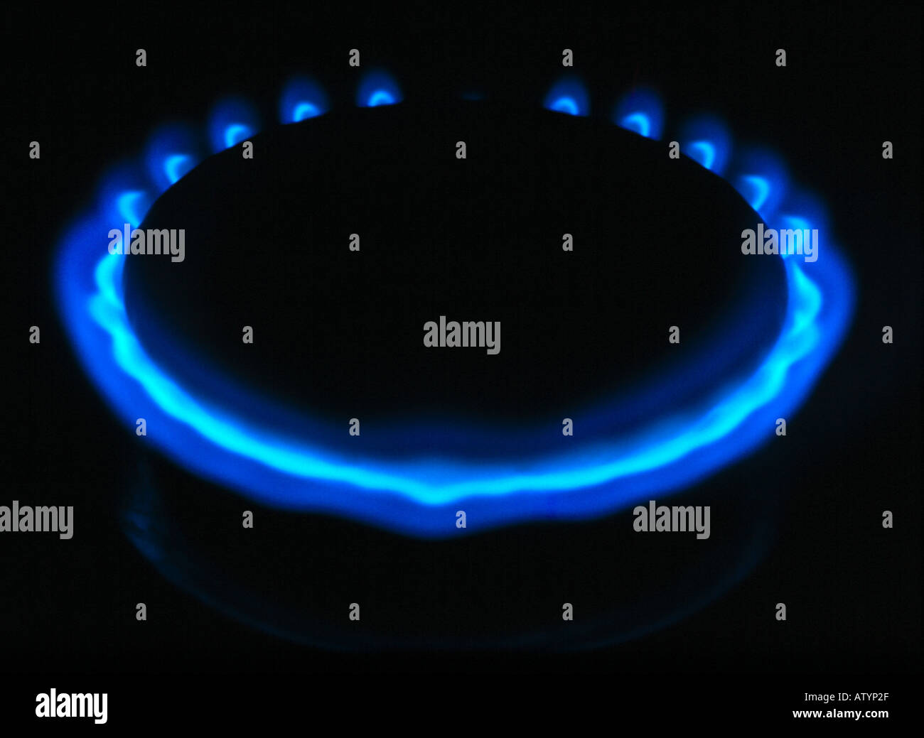 Gas ring on a hob Stock Photo Alamy
