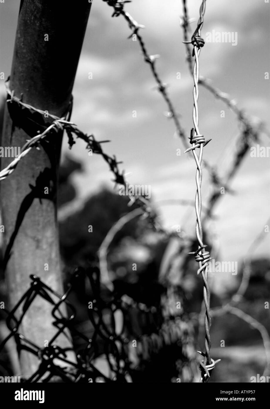 Barbed wire fence Stock Photo Alamy