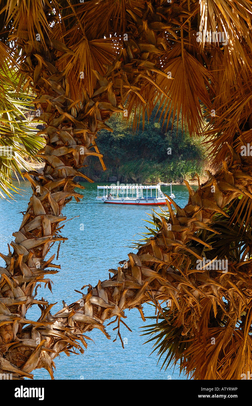 Exotic  Egyptian plant on Kitchener Island (El Nabatat Island) Aswan, Egypt overlooking boat travelling on the River Nile Stock Photo