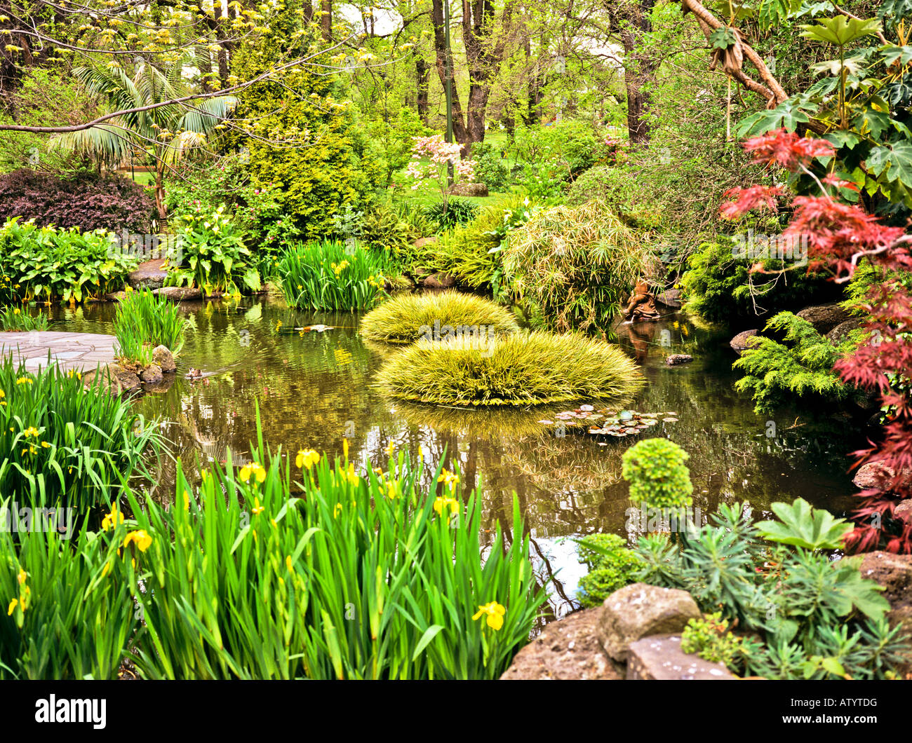 Water garden and pool in Fitzroy Gardens Melbourne Victoria Australia Stock Photo