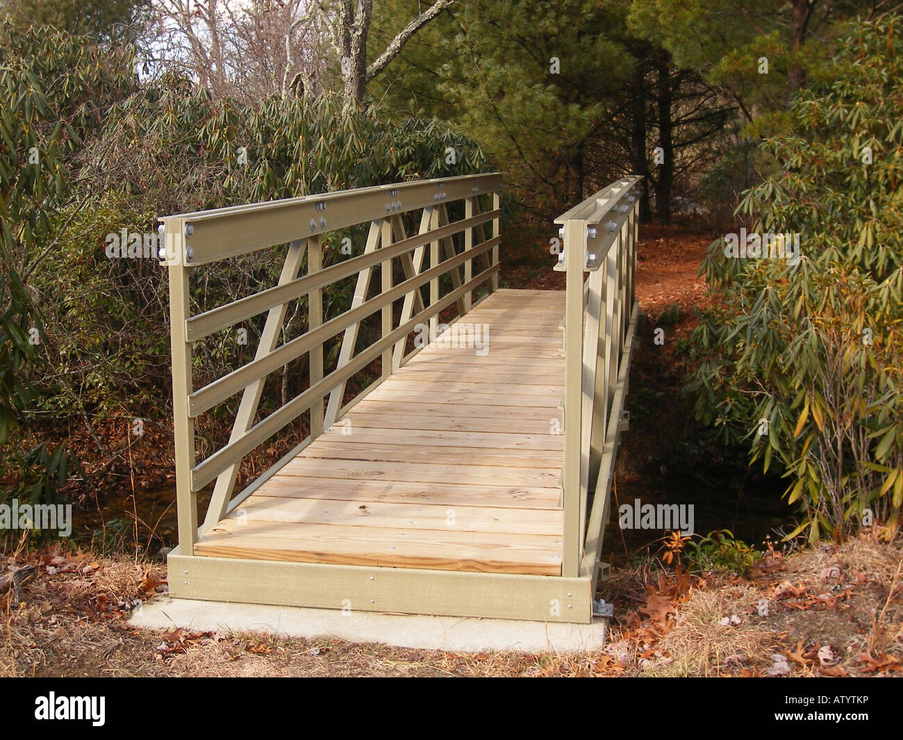 AJD59835, footbridge, hiking, Fisher Peak Loop Trail, Blue Ridge Parkway, Galax, Virginia, VA Stock Photo