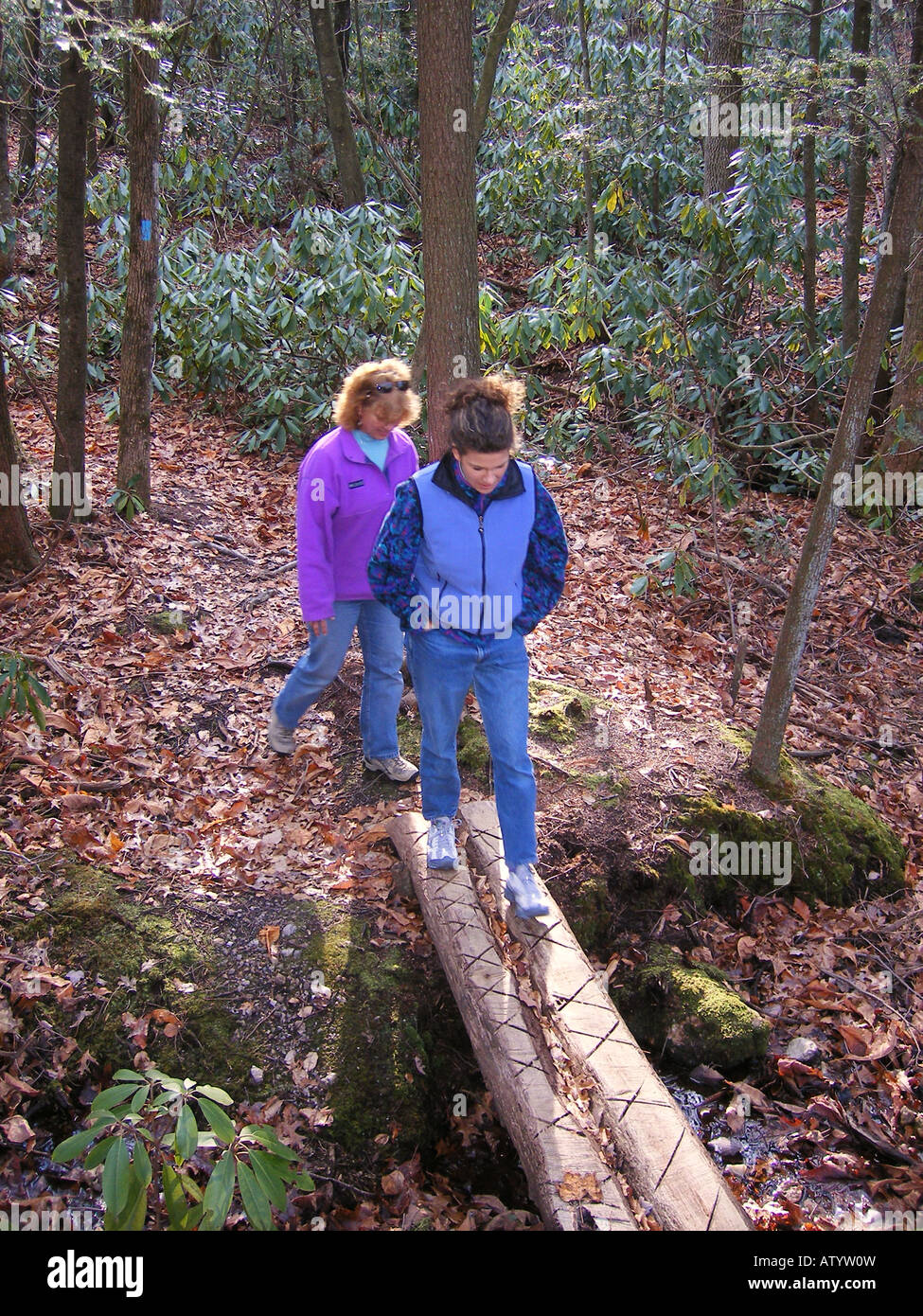 AJD59826, hiking, Fisher Peak Loop Trail, Blue Ridge Parkway, Galax
