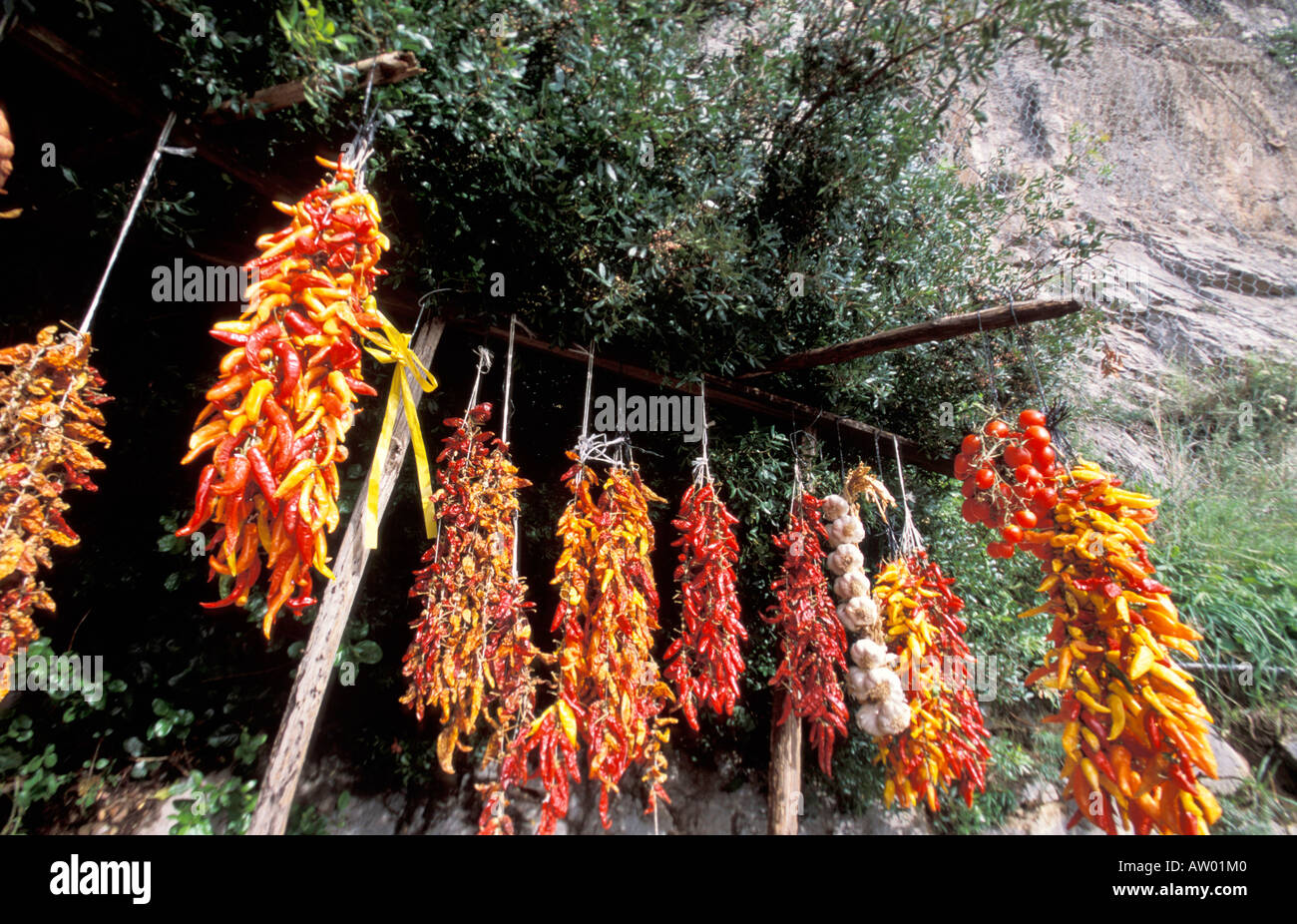 Chilli peppers Italy Stock Photo