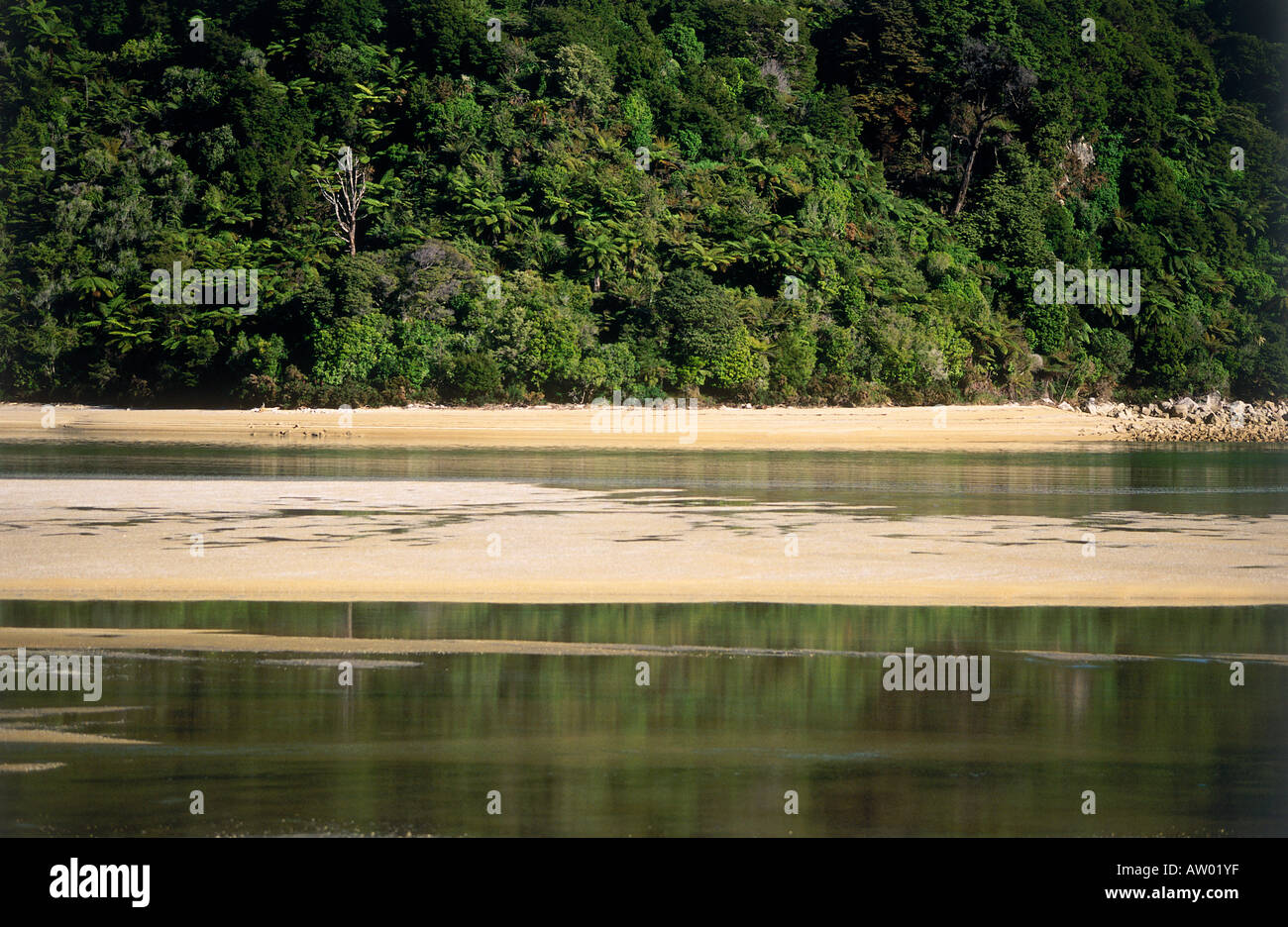 Awaroa inlet hi-res stock photography and images - Alamy