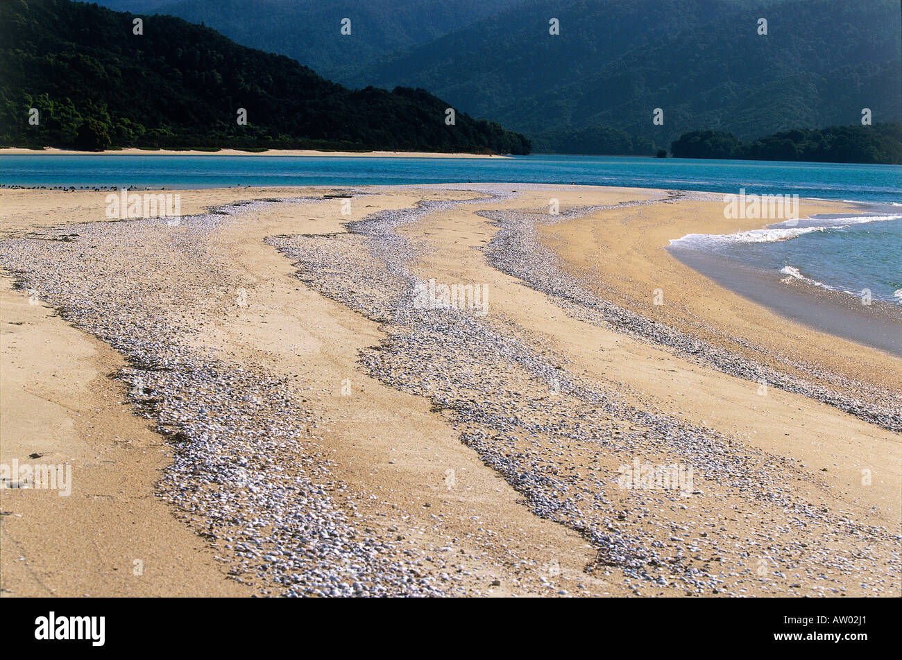 Awaroa inlet hi-res stock photography and images - Alamy