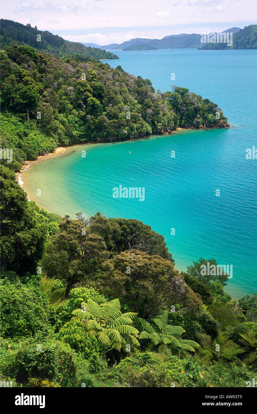 Queens Charlotte Sound Marlborough Sounds Stock Photo Alamy