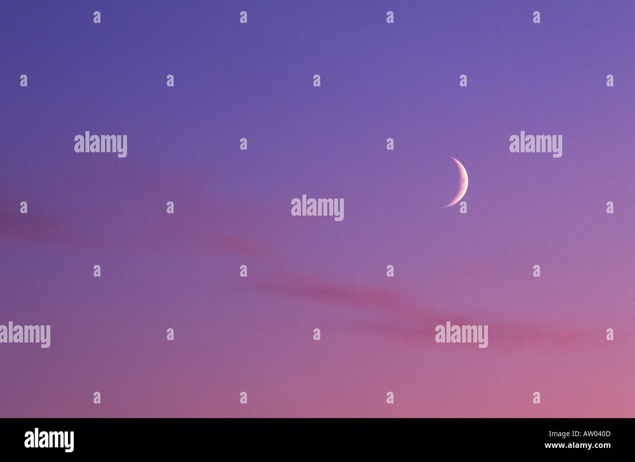 Evening sky in magenta with crescent moon background Stock Photo - Alamy
