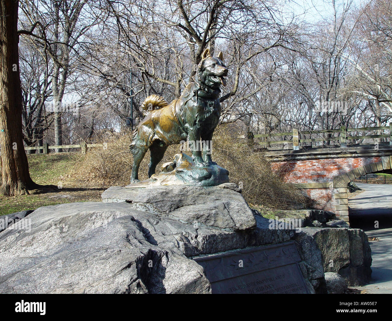 Sculpture of Siberian husky dog Balto in Central Park Stock Photo Alamy
