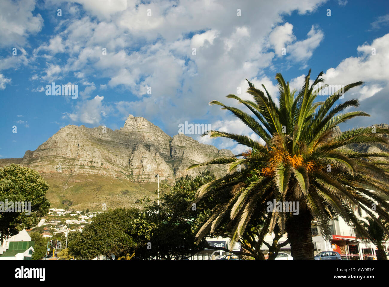 Camps Bay with Lion s Head behind it and fancy condominiums near Cape Town Very expensive resort
