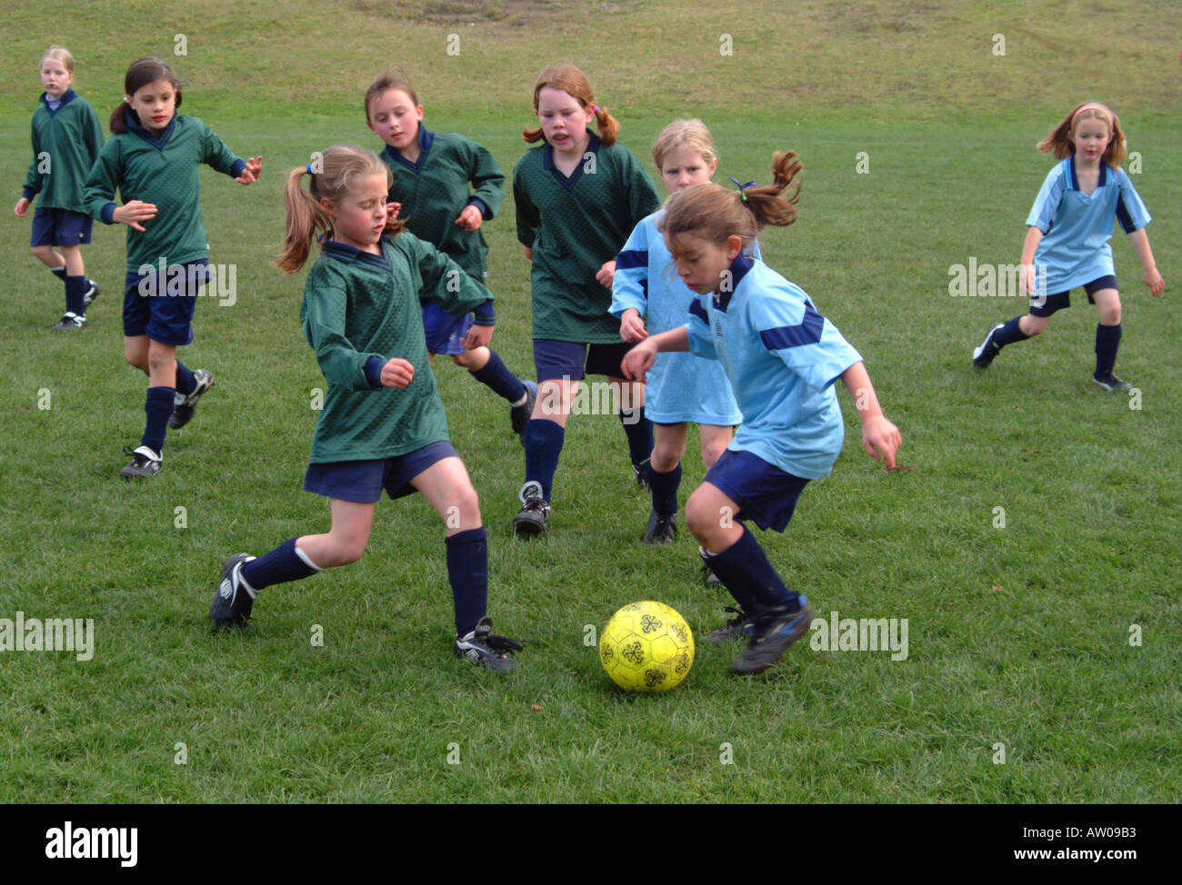 Two primary school girls teams playing soccer on a public sports field in Hobart, Tasmania Stock Photo
