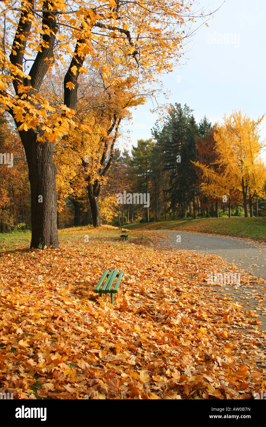 autumn alley in the city park Stock Photo - Alamy