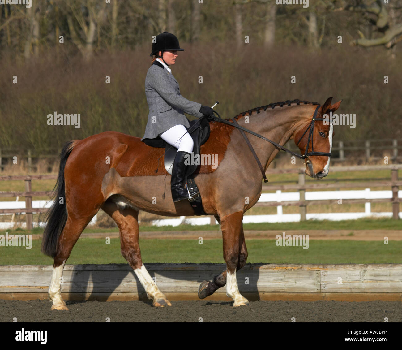 Horse rider in dressage competition Stock Photo - Alamy