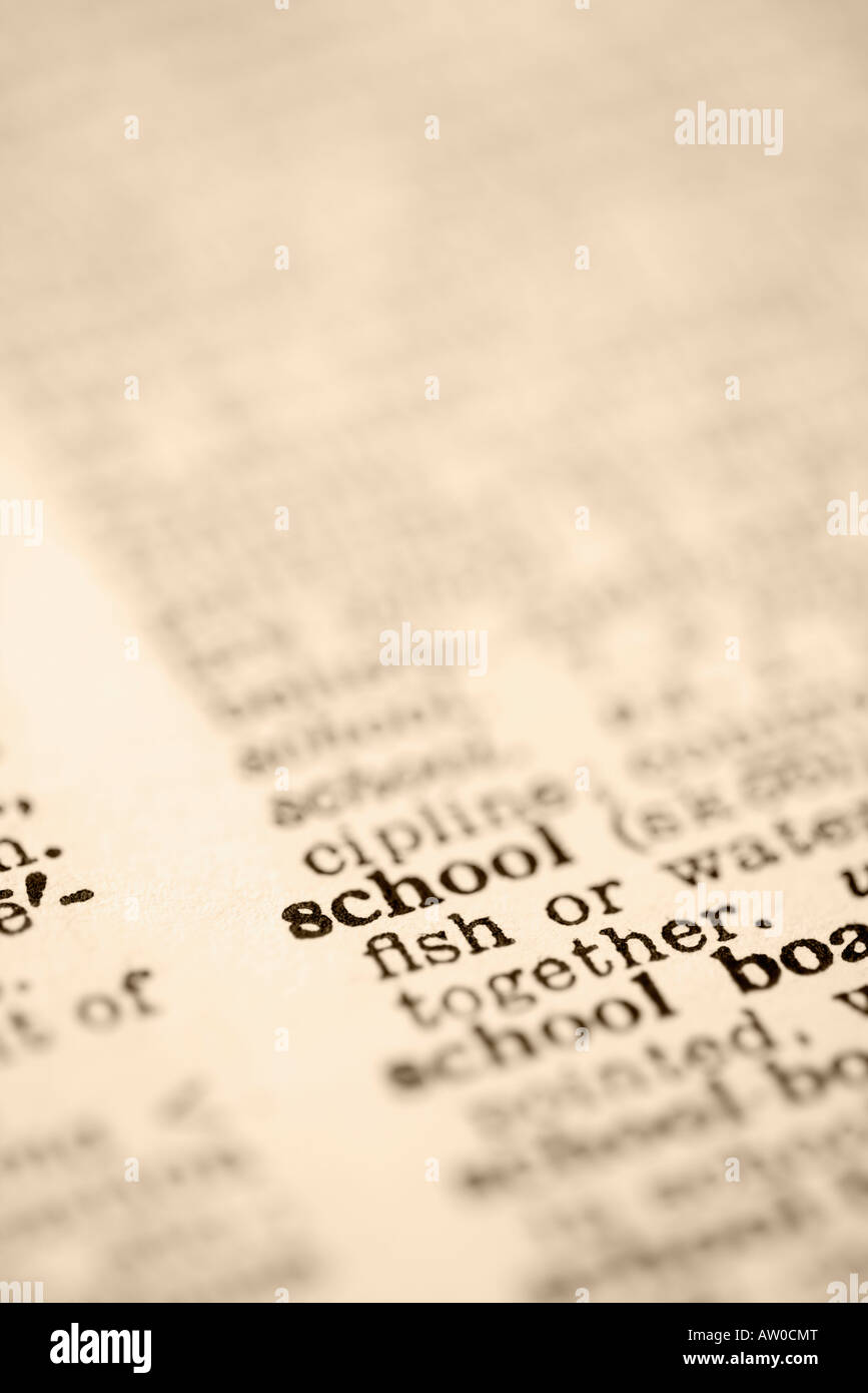 SCHOOL DEFINITION MEANING visual data 6