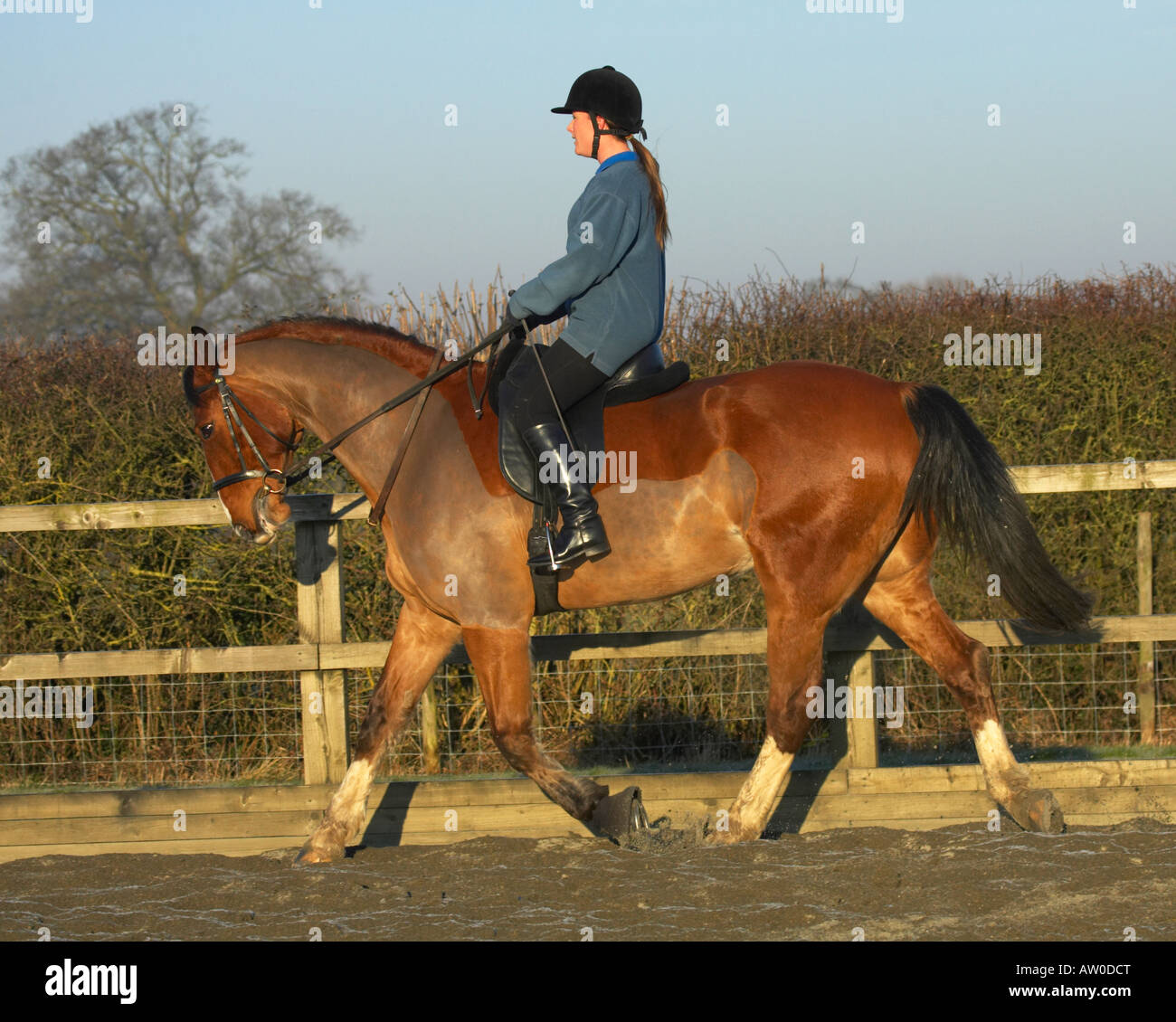 Taining High Resolution Stock Photography and Images - Alamy