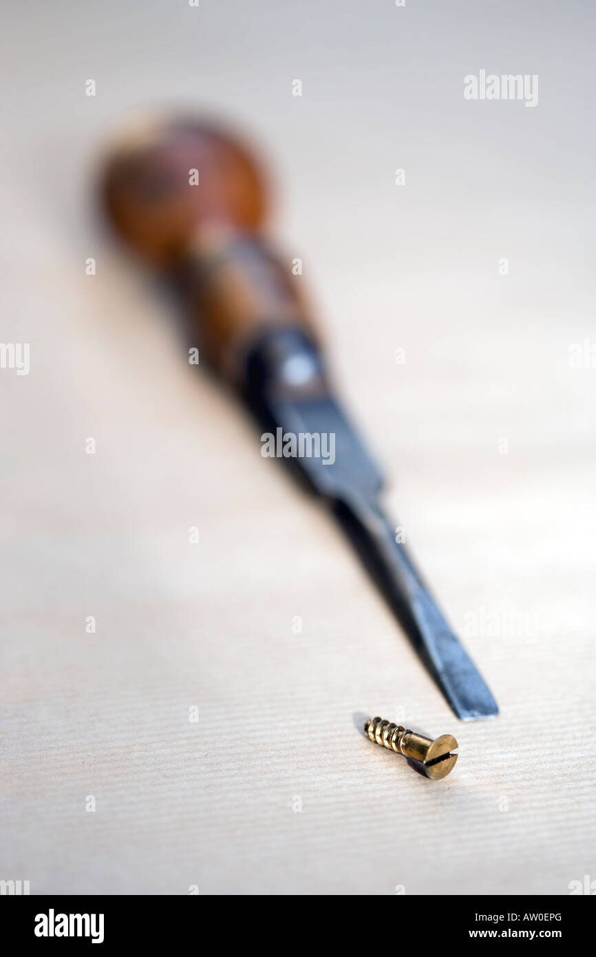 Vintage screwdriver and small screw Stock Photo