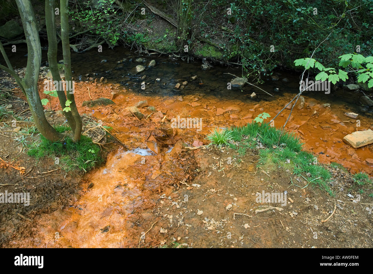 Iron ore rich stream flowing into river Stock Photo Alamy