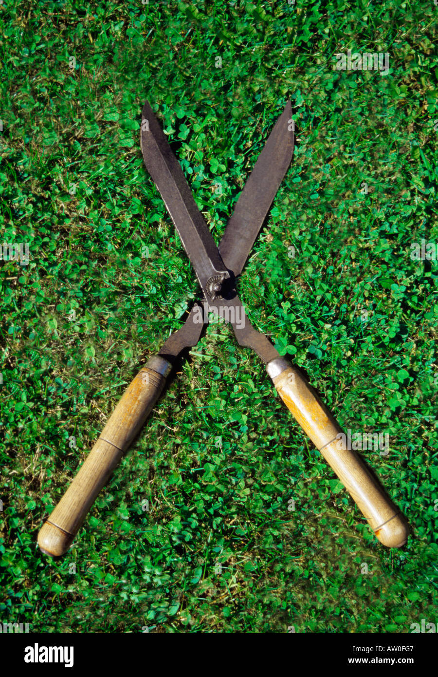 still life of old shears lying in grass Stock Photo Alamy