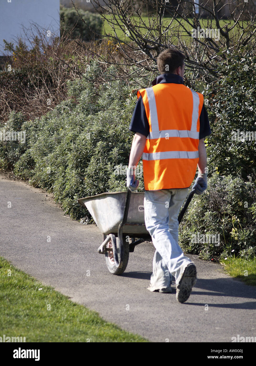 Workman wearing an orange florescent jacket, pushing a wheelbarrow Stock Photo