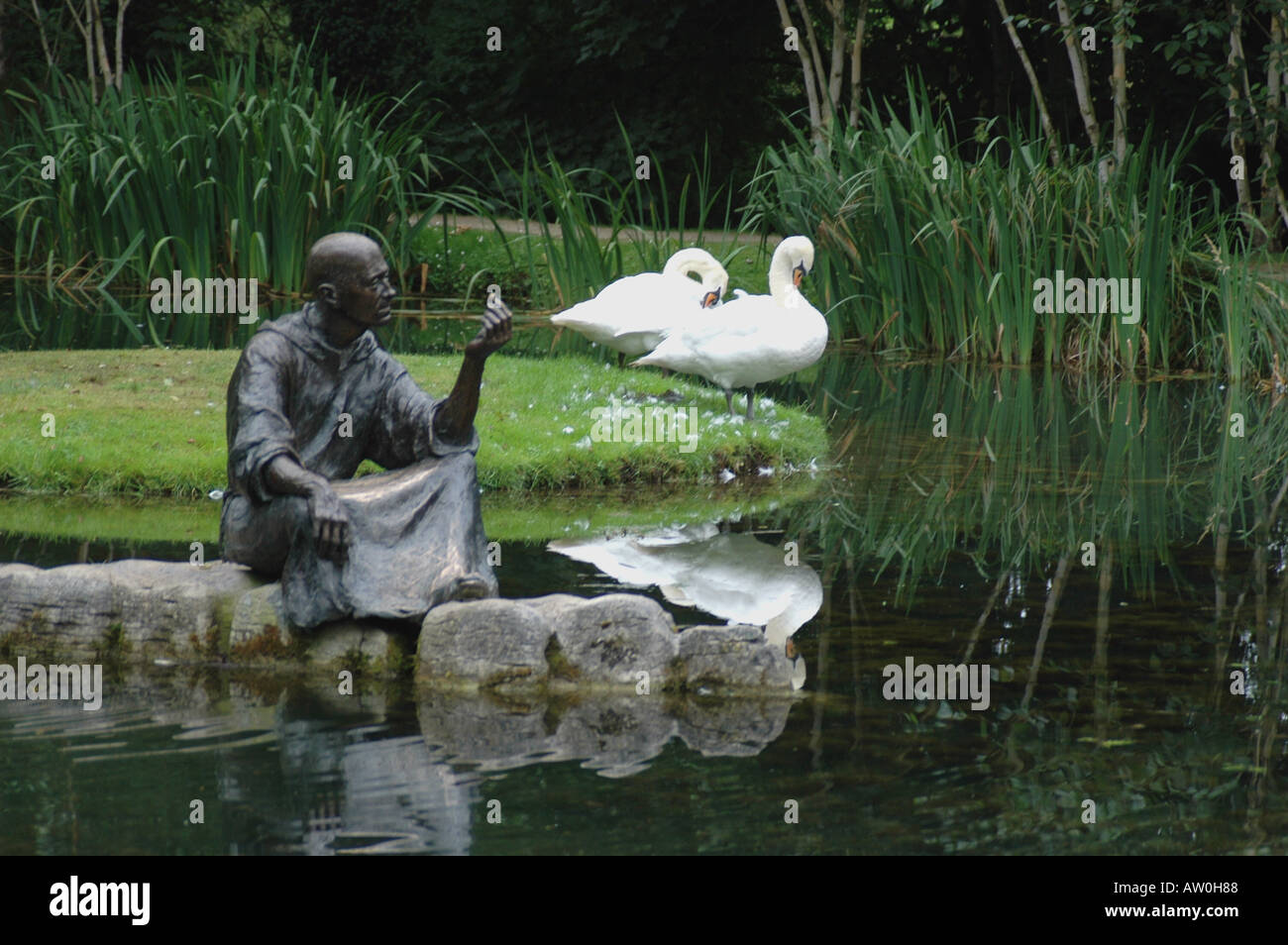 IRL  Bronze figure of St Fiacre  with Swans by a pond in Kildare Ireland Stock Photo