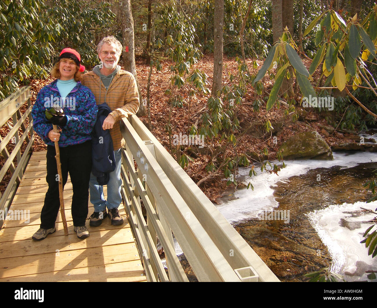 AJD59846, hiking, Fisher Peak Loop Trail, Blue Ridge Parkway, Galax