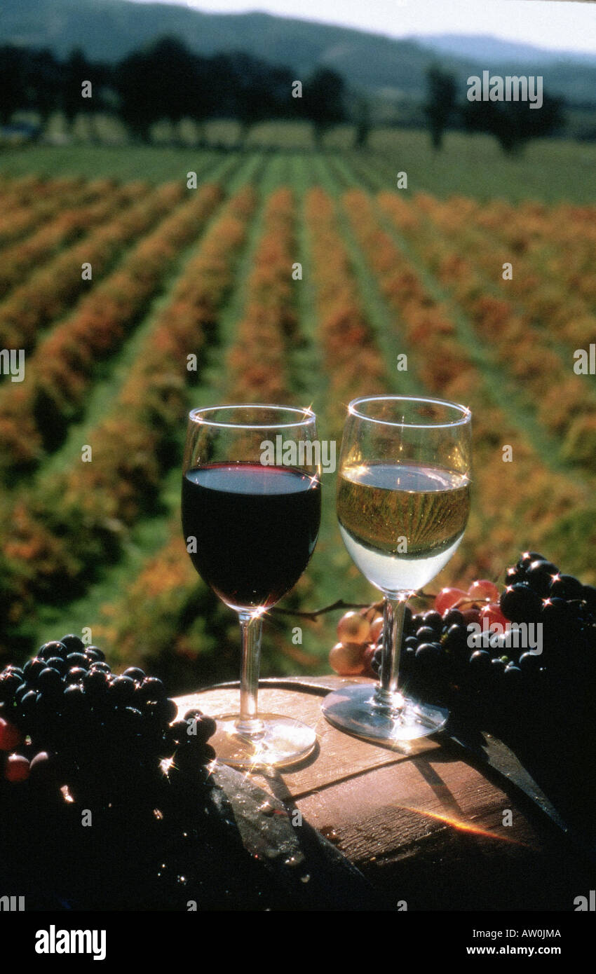 FRENCH wines from Bordeaux Stock Photo