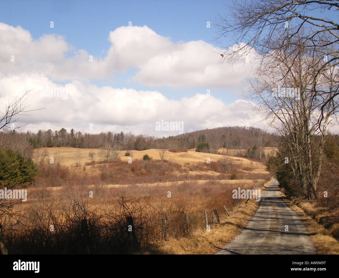 AJD59884, dirt road, Blue Ridge Parkway, Galax, Virginia, VA Stock