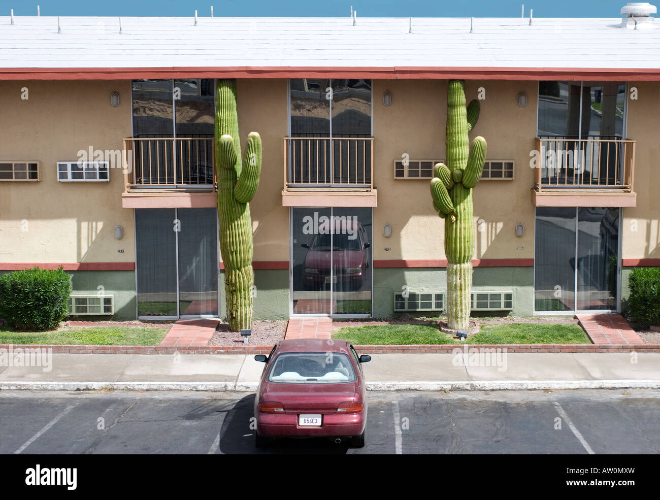 Two saguaro cactus trees appear to be pushing up the roof of an apartment building in Barstow, California, USA Stock Photo