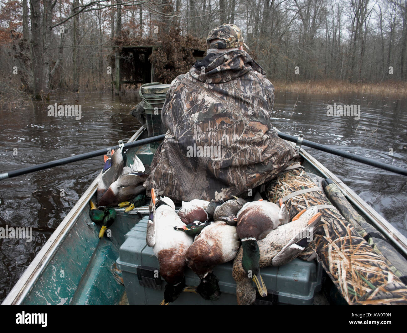 Duck Hunting Blind Royalty-Free Images, Stock Photos & Pictures