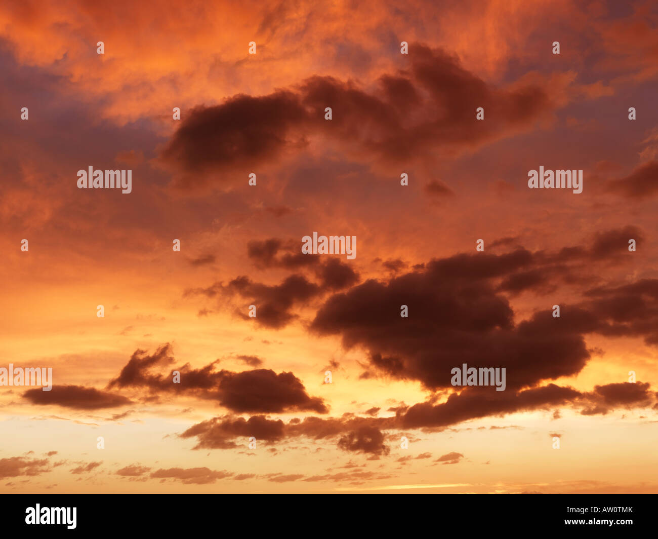 Fluffy clouds in orange colored sky at sunset Stock Photo