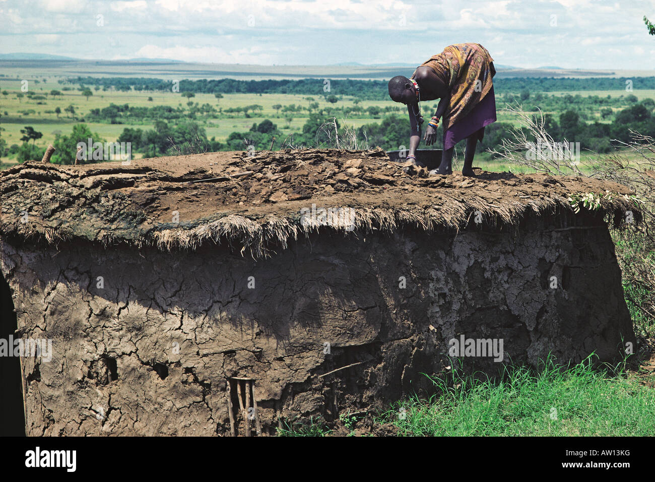 Cow dung africa hi-res stock photography and images - Alamy