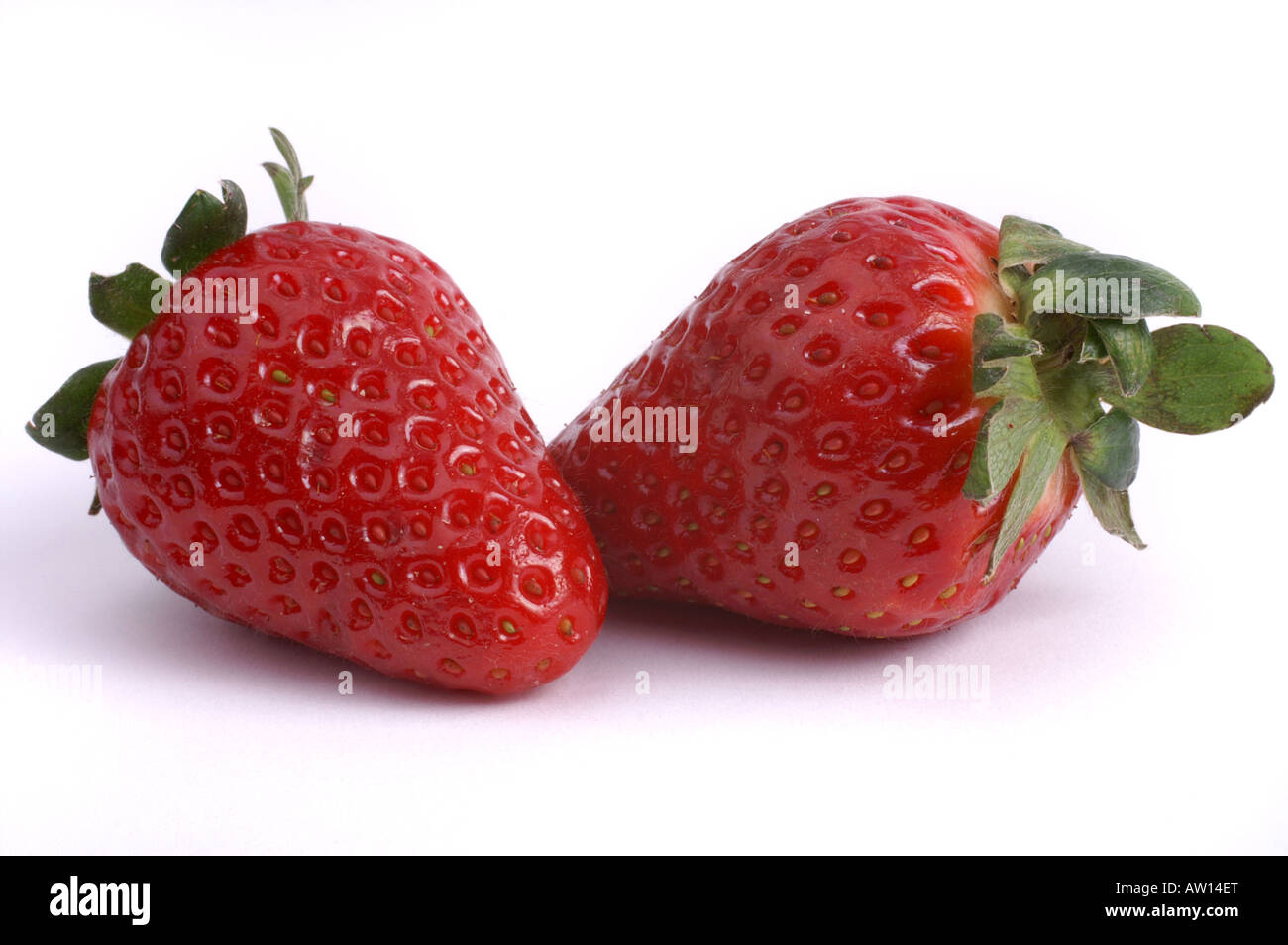 TWO STRAWBERRY STRAWBERRIES ON A WHITE BACKGROUND WITH  SHADOW Stock Photo