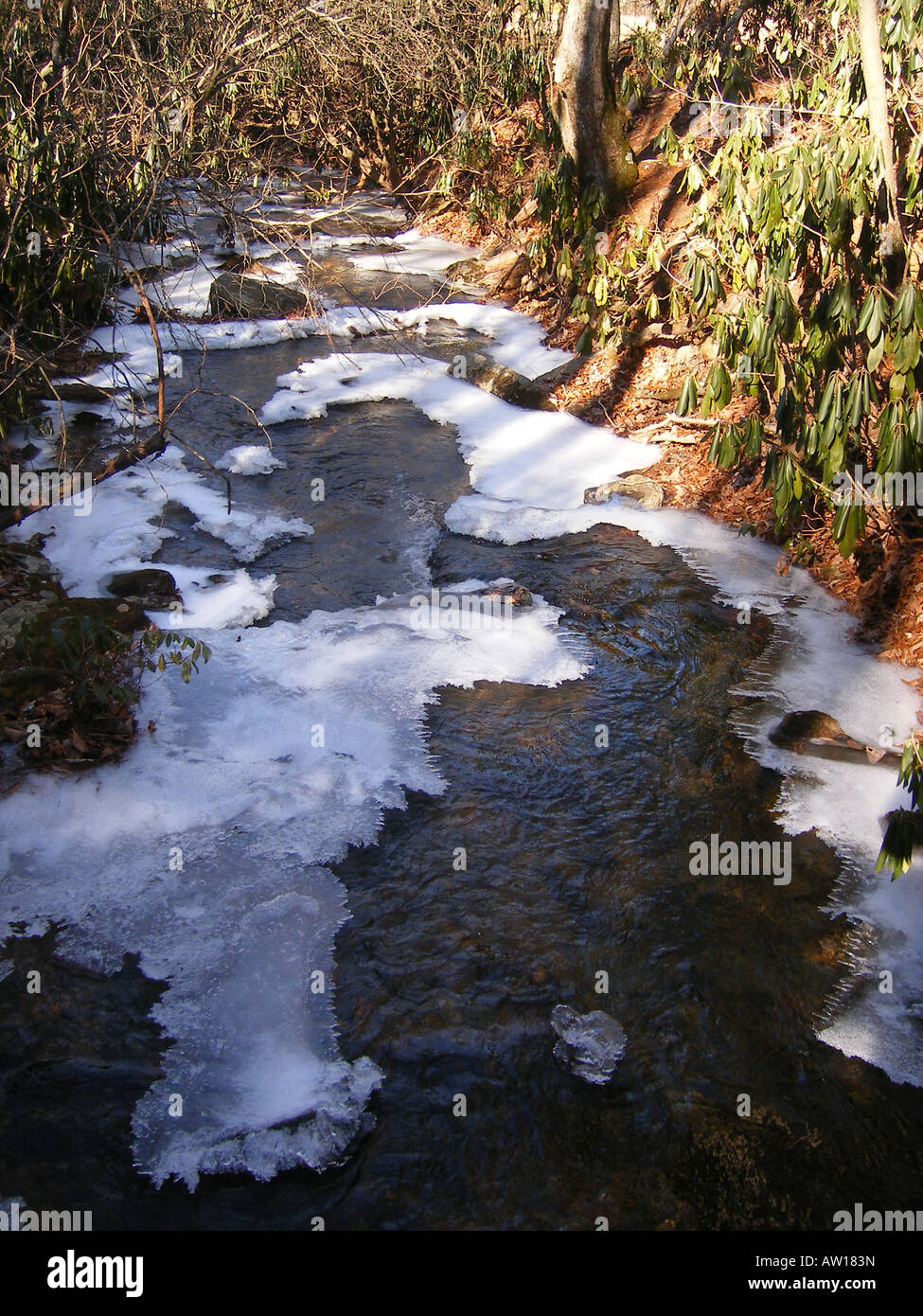 AJD59844, Chestnut Creek, Fisher Peak Loop Trail, Blue Ridge Parkway ...