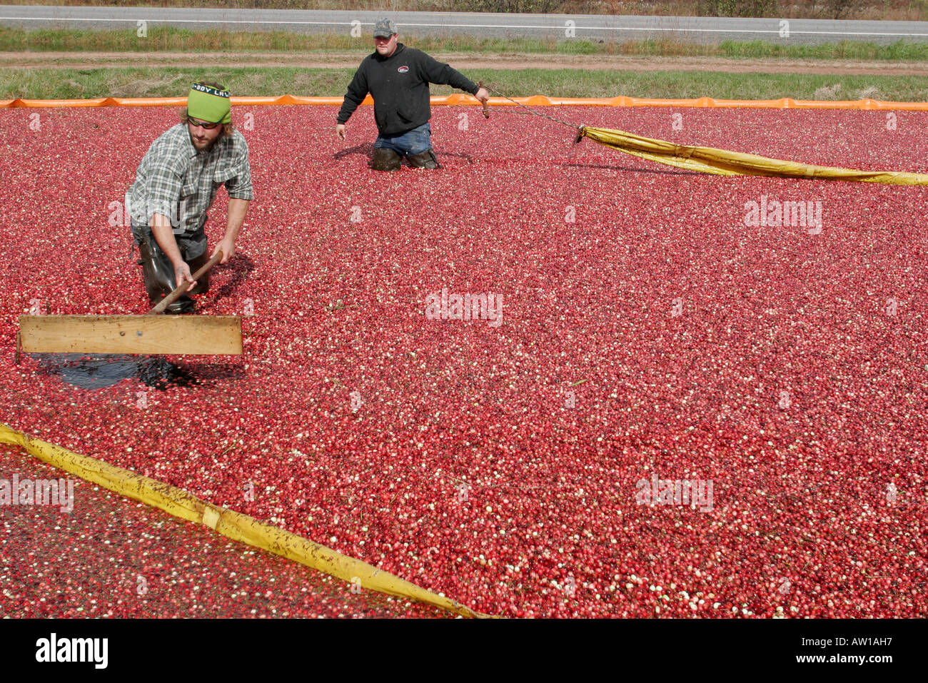 173 hires stock photography and images Alamy